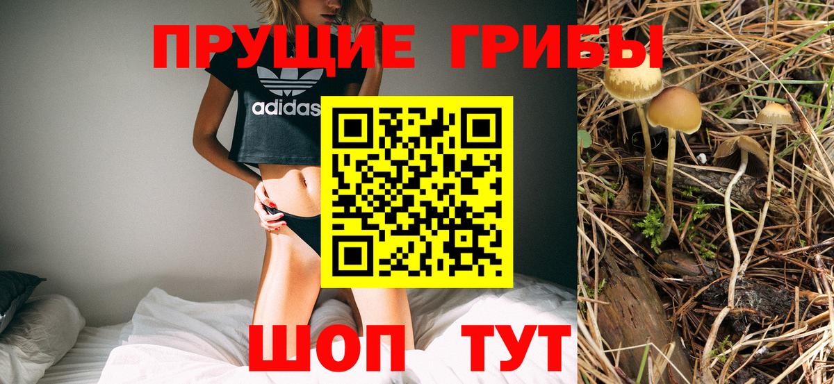 Псилоцибиновые грибы Cubensis Кстово