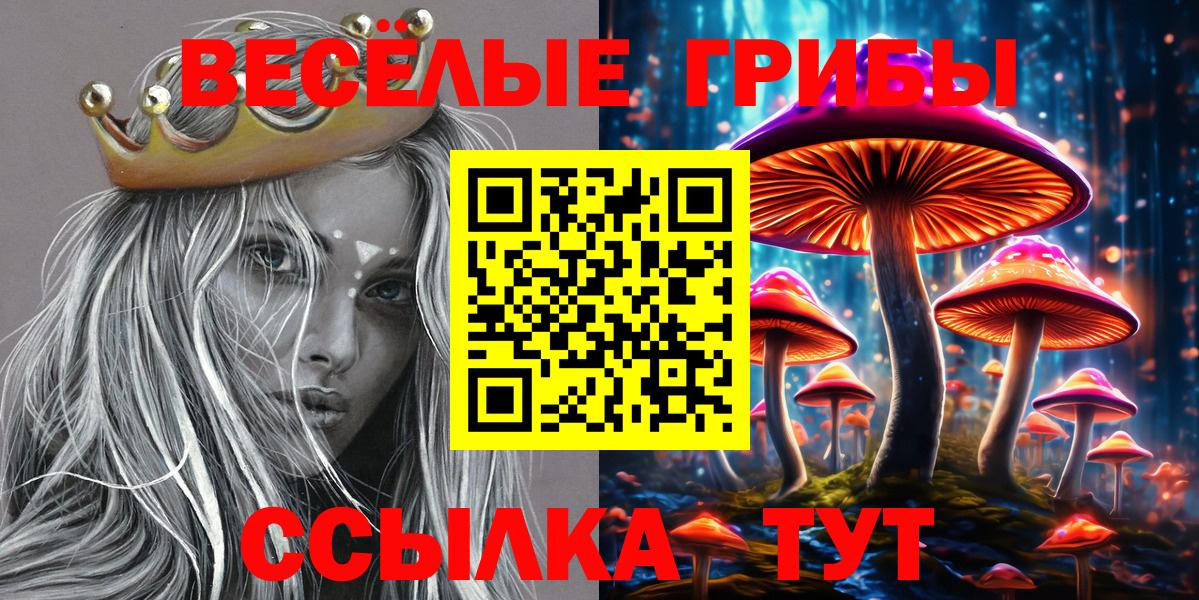 Псилоцибиновые грибы прущие грибы  Вход с VPN  Кстово  Псилоцибиновые грибы GOLDEN TEACHER 